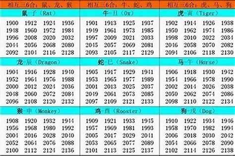 1994年什么命|1994年出生属什么生肖 1994年属狗是什么命